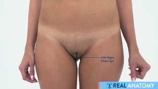 Real Female Anatomy - Visual Examination of the Vulva & Pelvic Areas
