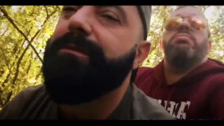 Bears Nature